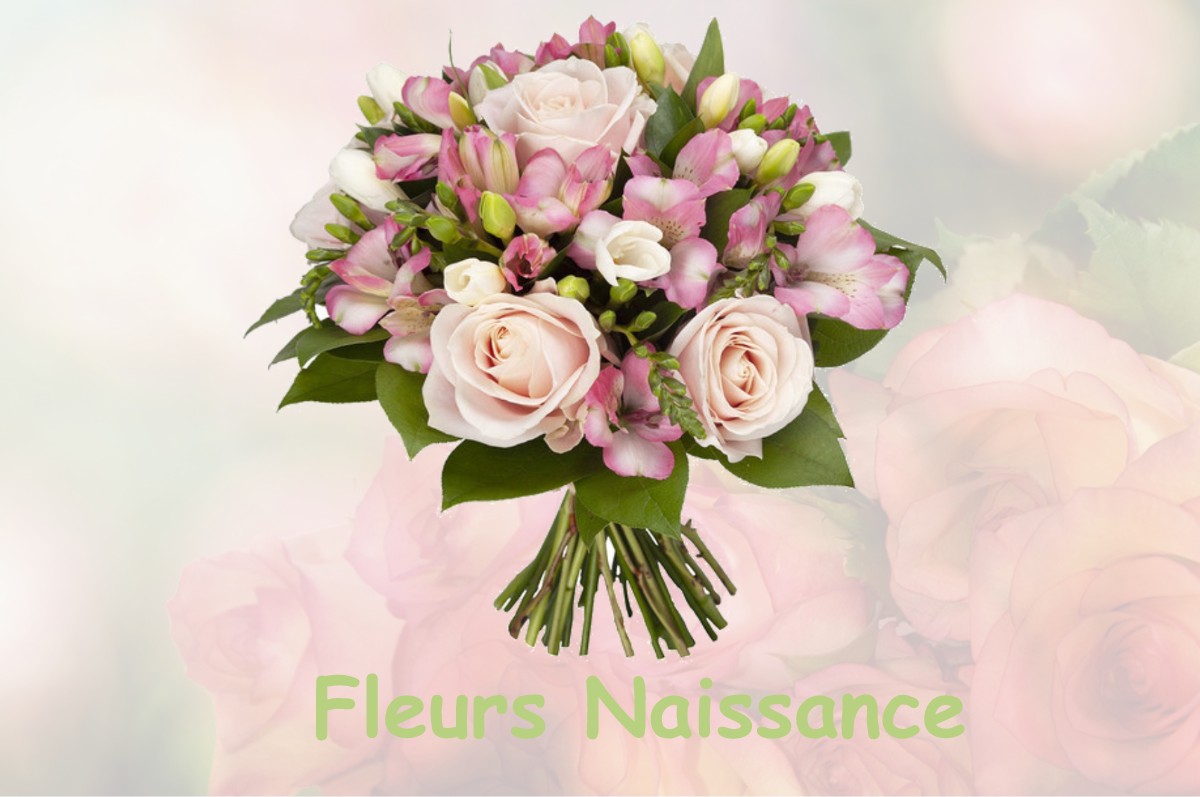 fleurs naissance SAINT-PAUL-DE-FENOUILLET
